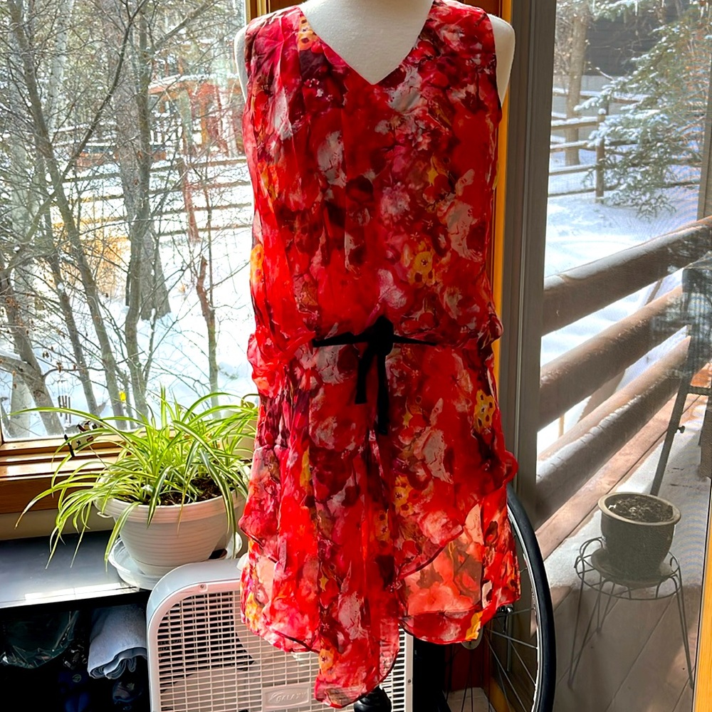 New Sundance Language of roses silk chiffon dress